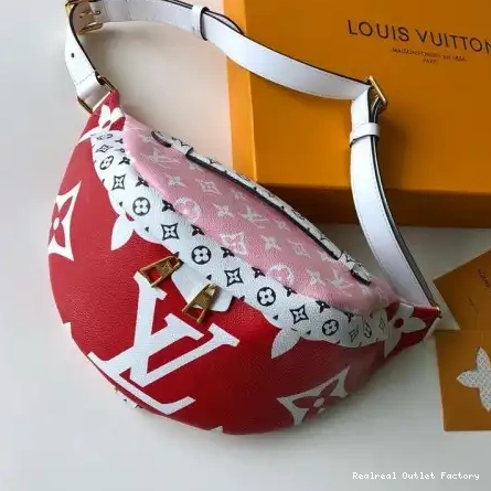 Affordable LV Bags 19T1L0350 0224